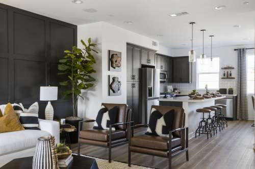 Plan 5 Model Home Great Room